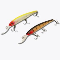 frenetic-diver-minnow